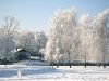 06_uzvaras-parks-ziema